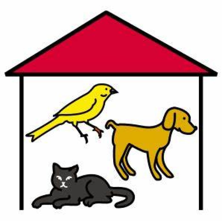 El nuevo régimen jurídico de los animales que entró en vigor el día 5 de enero de 2022